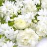 Белые цветы база (MDF) 5мл