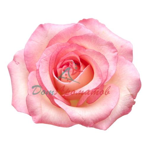 Розы кристаллы Rose crystals 5гр
