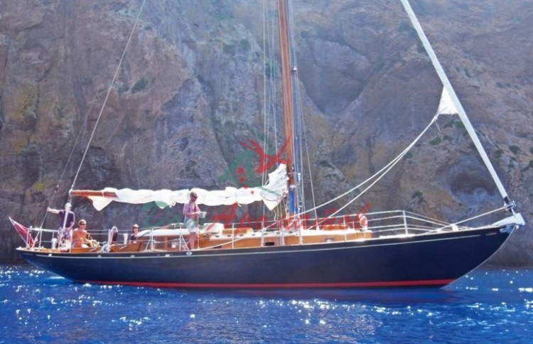 UNDINA 1954 (ундина 1954) база 5мл