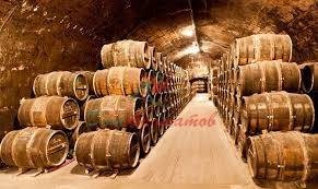 DUDUK (дудук) база 5мл