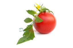 2-Изобутил тиазол (томатный лист)1%в ДПГ 5мл