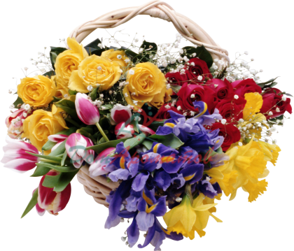 2-УНДЕКАНОН