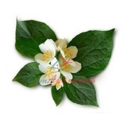 Неролин Яра-Яра 5г