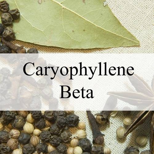 Кариофиллен (CARYOPHYLLENE) 5мл