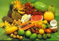 Фруктон 5мл