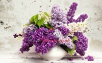 Сирень База 5мл