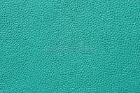 Mint leather (Мятная кожа) база 5мл