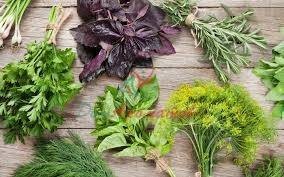 GEORGIAN WIND  БАЗА 5мл