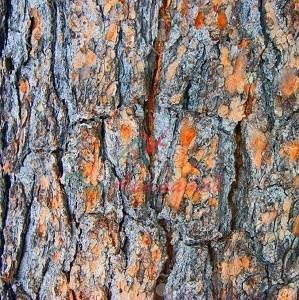 Цедрилацетат (CEDRYL ACETATE )