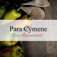 Пара-цимен 1% в ДПГ (PARA-CYMENE) 5мл