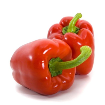 Гальбанум пиразин 1% в ДПГ 5мл