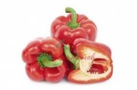 Гальбанум пиразин 1% в ДПГ 5мл