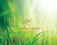 Гальбаскон 10% ДПГ (Galbascone IFF) 5мл