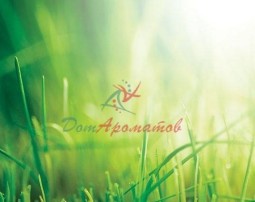 Гальбаскон 10% ДПГ (Galbascone IFF) 5мл