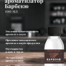 Ароматизатор пищевой "Барбекю"