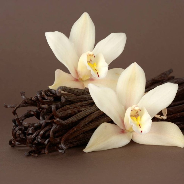 Ароматизатор пищевой "Ваниль"