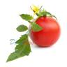 2-Изобутил тиазол (томатный лист)1%в ДПГ 5мл