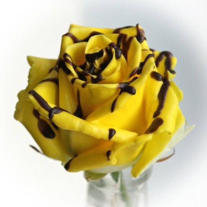 Восковая роза база (MDF) 5мл