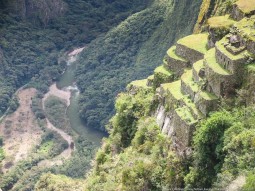 Урубамба база (MDF) 5мл