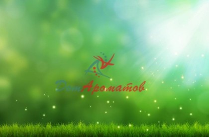 Альдегид С-6