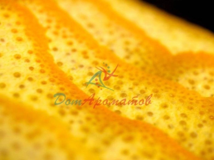 Альдегид С-8 (Октаналь) (Aldehyde C-8 (Octanal)