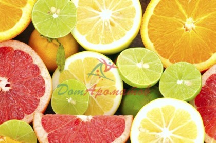 Альдегид С-9 (Нонаналь) (ALDEHYDE C-9 (Nonanal) 5мл