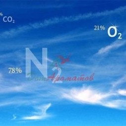ГЕОСМИН 0.1% в ДПГ (Geosmin) 5мл
