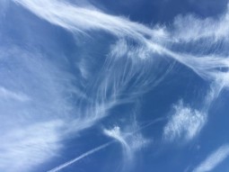 Молекулярный микс 7 база (MDF) 5мл