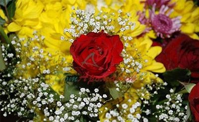 ГЕРАНИЛАЦЕТАТ (Geranyl Acetate) 5мл