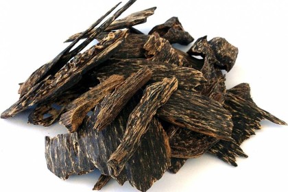 Черный уд Black Agar Givco 215/2 5мл