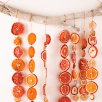 Цитрусовая корка база (MDF) 5мл