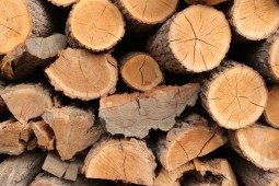 Древесный аккорд 2 база