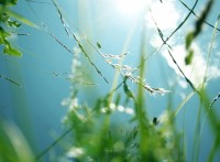 Зелёная воздушная база (MDF) 5мл