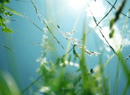 Зелёная воздушная база (MDF) 5мл