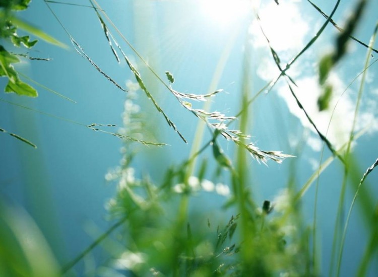 Зелёная воздушная база (MDF) 5мл