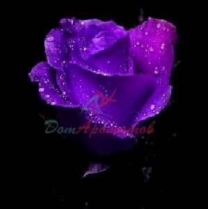 ДАМАСКОН ДЕЛЬТА (DAMASCONE DELTA) 5мл