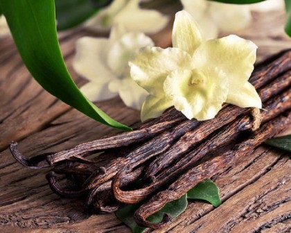 ЭВА 2 база (MDF) 5мл