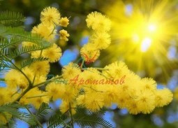 Анисовый альдегид