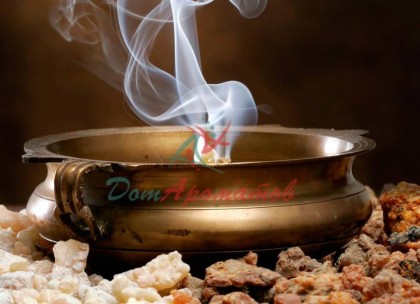 Paracelsus (Парацельс) База  5мл