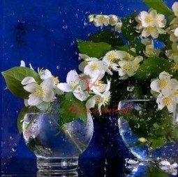 ДИГИДРОЖАСМОН (DIHYDROJASMONE)