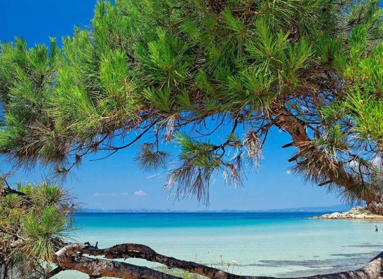 Афермат (Морской формиат) IFF (APHERMATE IFF) 5мл