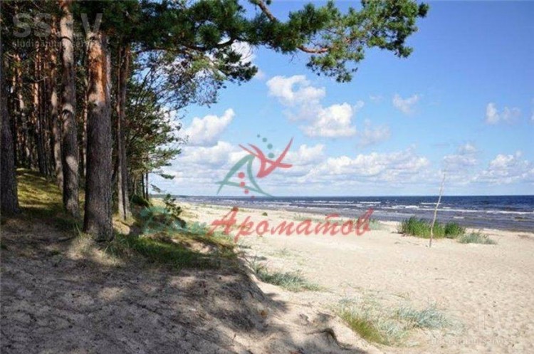 Афермат (Морской формиат) IFF (APHERMATE IFF) 5мл