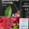 Ароматизатор пищевой "Пломбир"