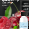 Ароматизатор пищевой "Пломбир"