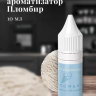 Ароматизатор пищевой "Пломбир"