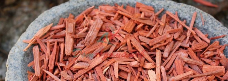 Багданол (Bacdanol) 5мл