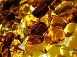 ЯНТАРЯ ДИОКСАН (Караналь) 5мл