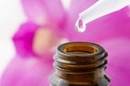 Фиксатор Fix musc