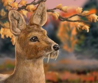 ANIMAL WOOD база natural 5мл