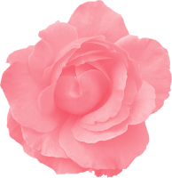 Отдушка "Розовые цветы"